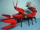 002_scorpion.jpg