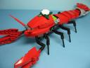005_crawfish.jpg