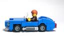cobra-002.jpg