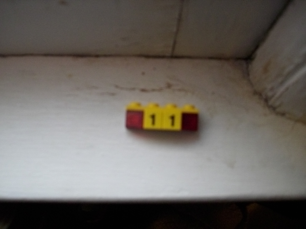 dsci0109.jpg