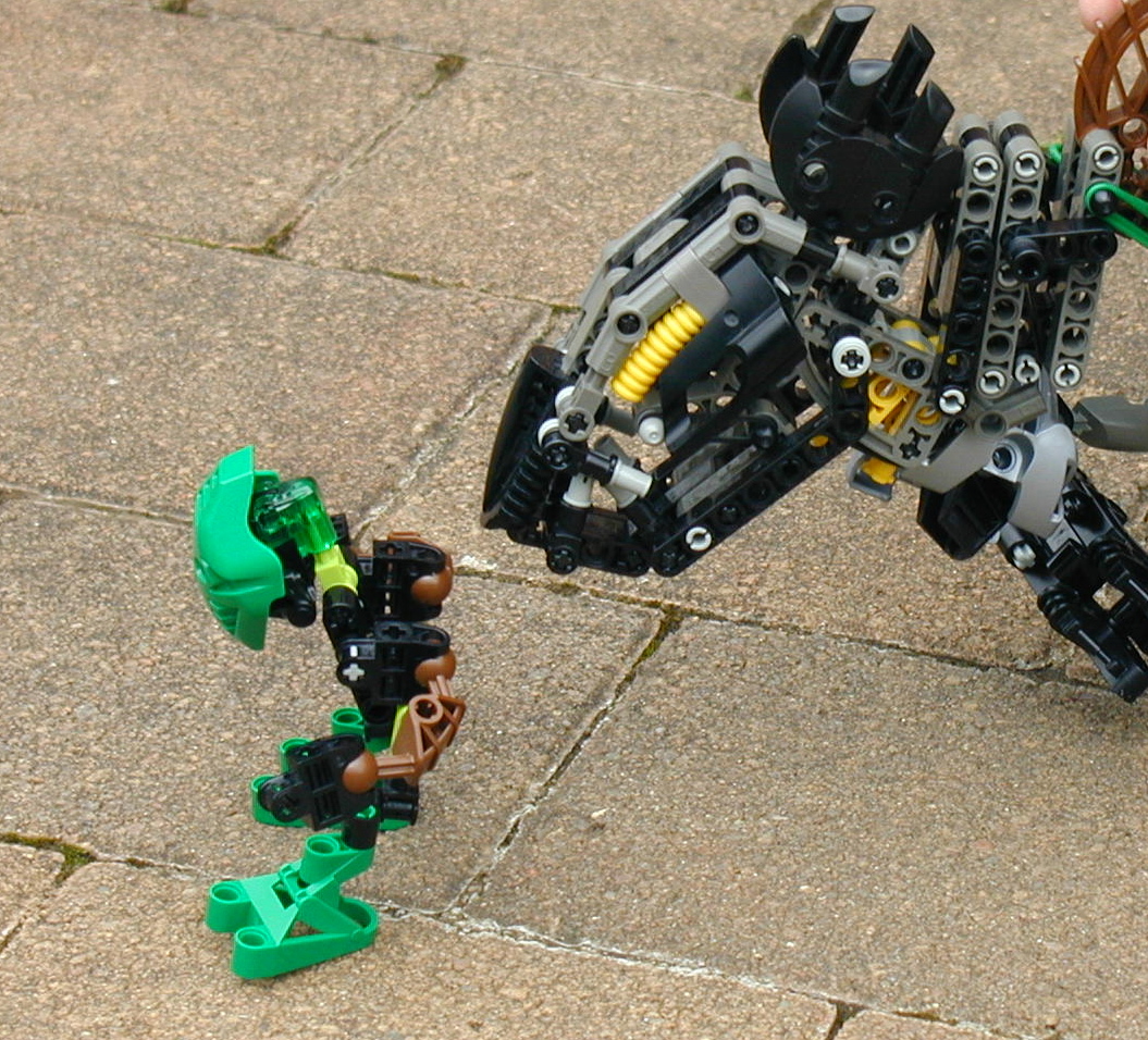 13bionicle.jpg