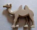 dark_camel.jpg