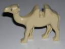 light_camel.jpg