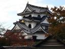 hikonetoporig.jpg