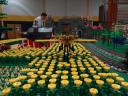 dsc04109.jpg