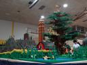 dsc04118.jpg