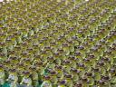 mini-troops_05.jpg
