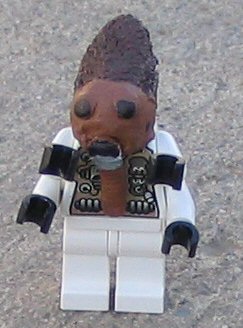 nabrun_leids.jpg