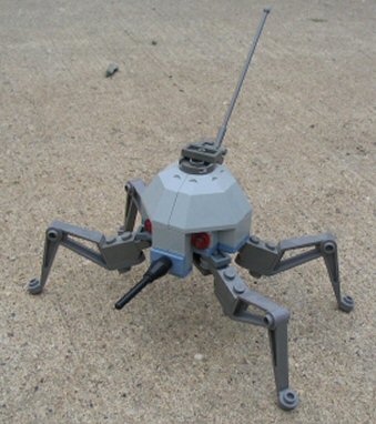 dwarfspider.jpg