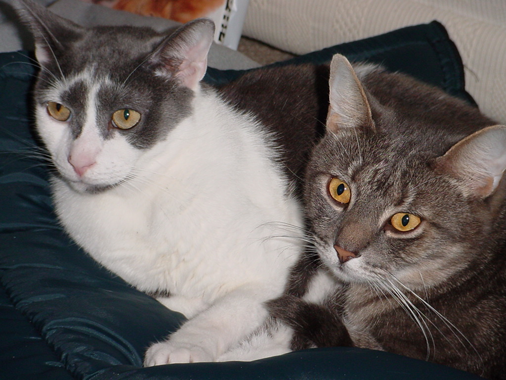 bert-and-sandy-02.jpg