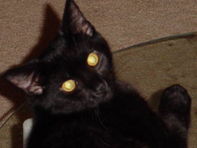 hunter04.jpg