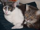 bert-and-sandy-02.jpg