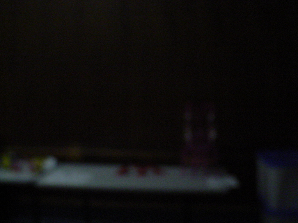 dsc02817.jpg