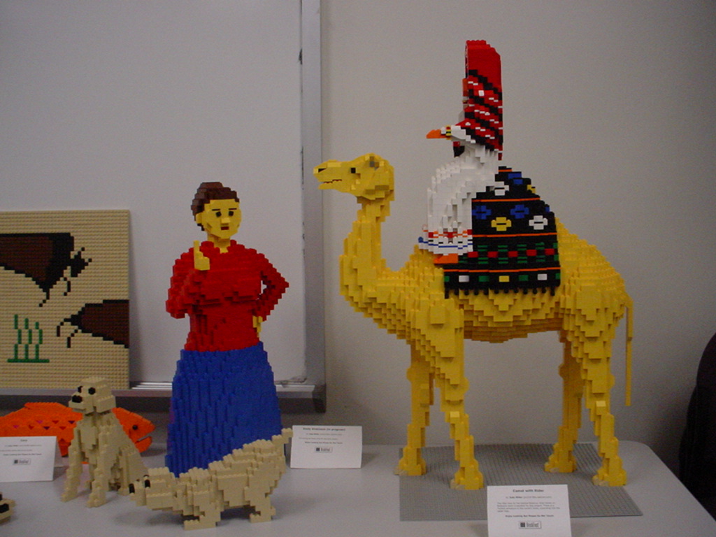 dsc02834.jpg