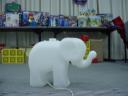 dsc02784.jpg