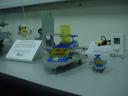 dsc02809.jpg