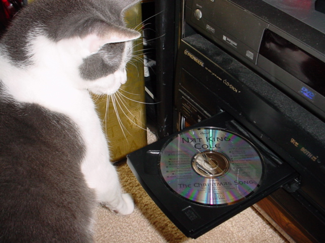 bert-cd.jpg