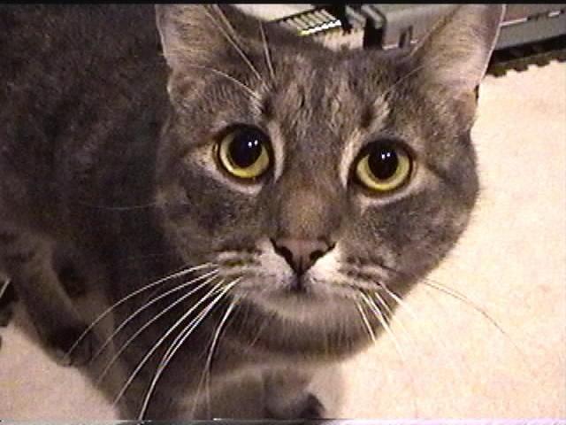silver-03.jpg