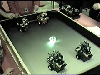 sun-15.jpg