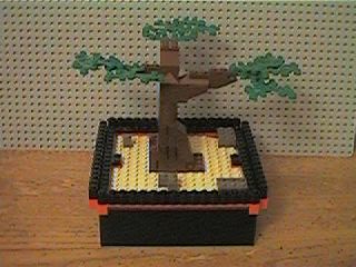 bonsai_tree01.jpg