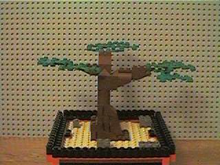 bonsai_tree02.jpg