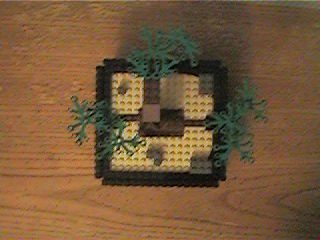 bonsai_tree03.jpg