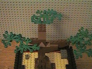 bonsai_tree04.jpg