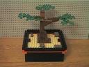 BonsaiTree