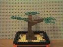 bonsai_tree02.jpg
