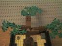 bonsai_tree04.jpg
