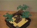 bonsai_tree05.jpg