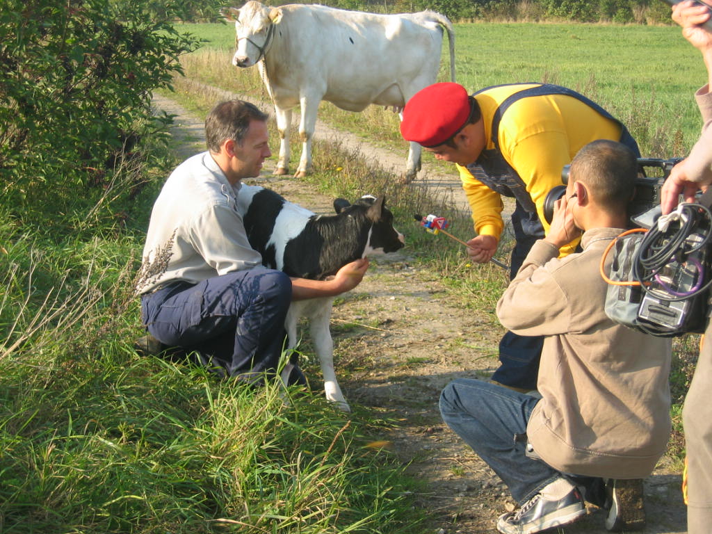 tv_champion_022.jpg