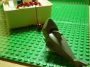dsc00264.jpg