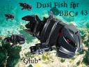 DusiFish