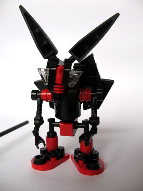 biedron_005.jpg