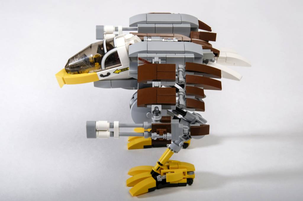 eagle_06-1024.jpg