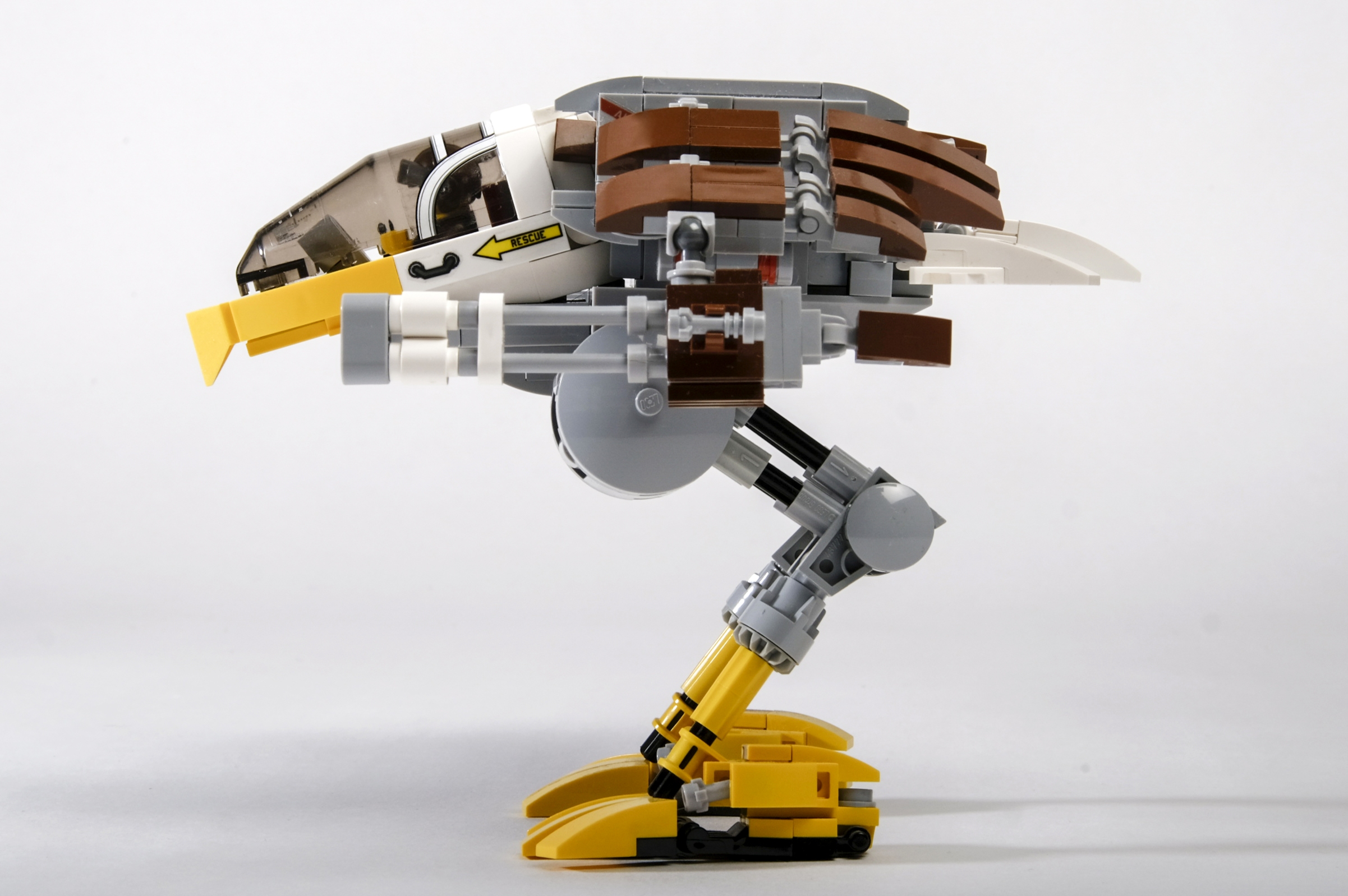 eagle_05.jpg