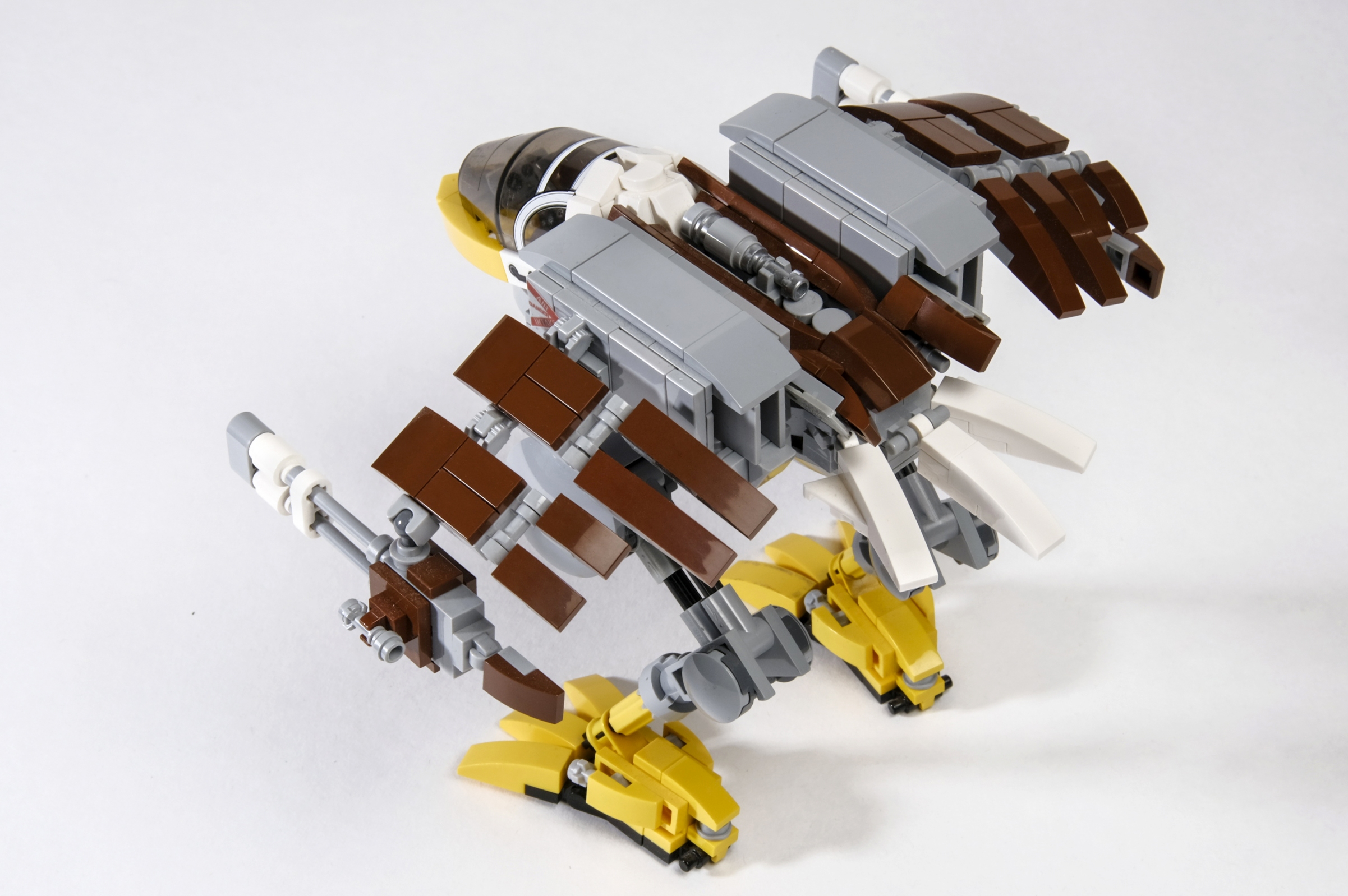 eagle_08.jpg