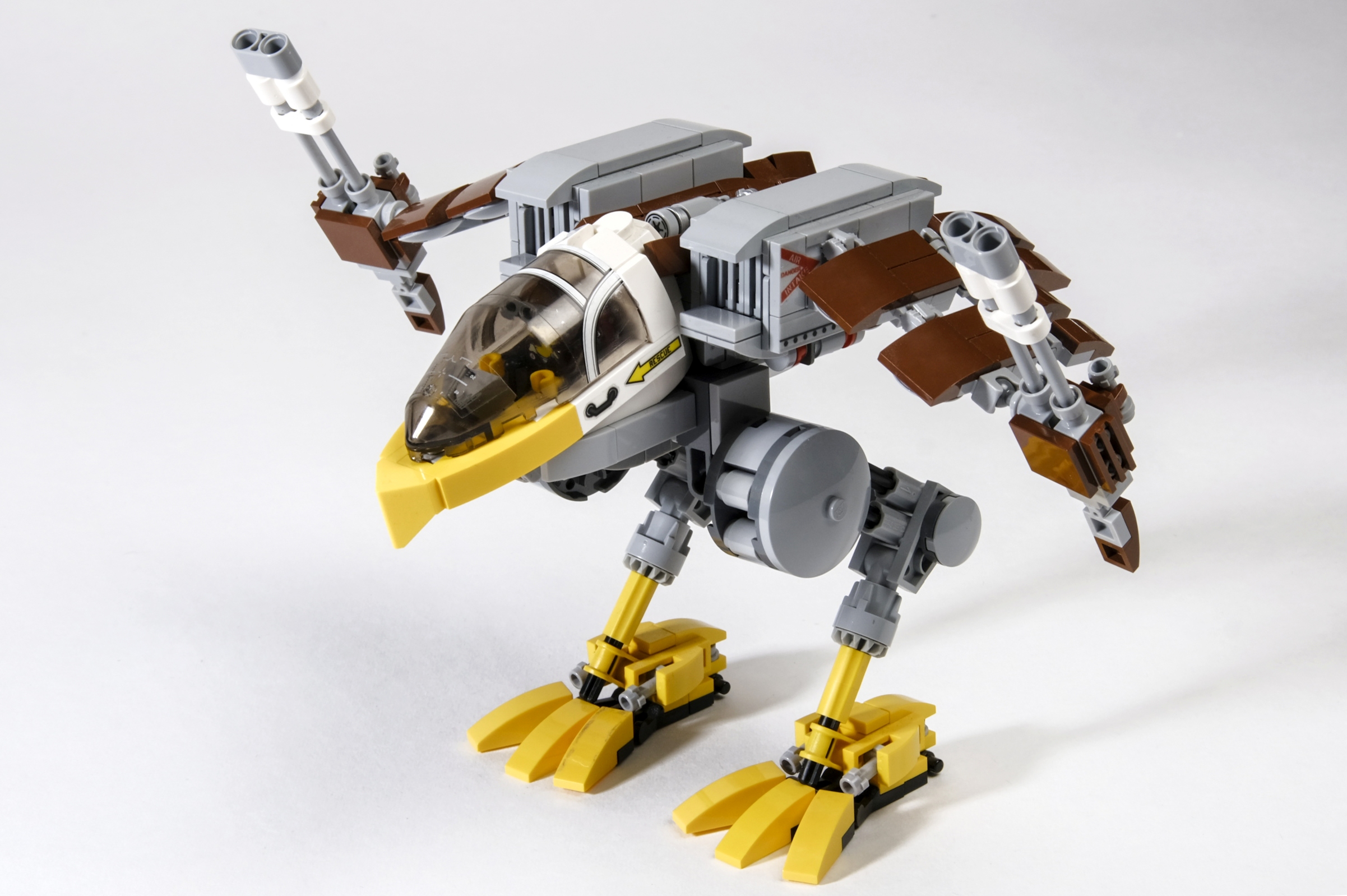 eagle_11.jpg