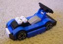blue_racer.jpg