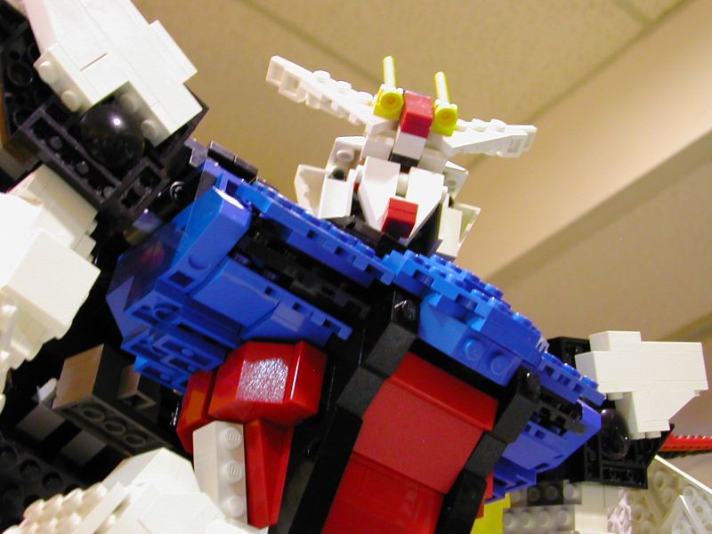 07-close_up_3.jpg