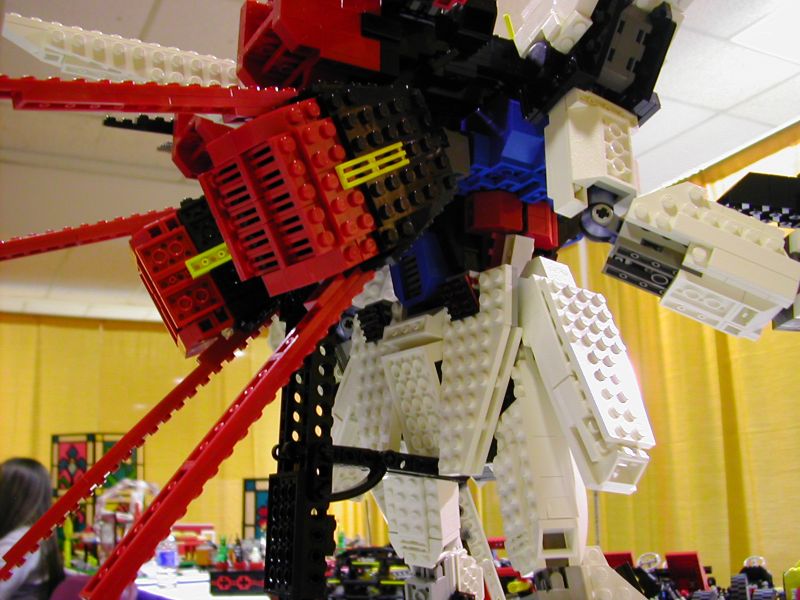 17-back_2.jpg
