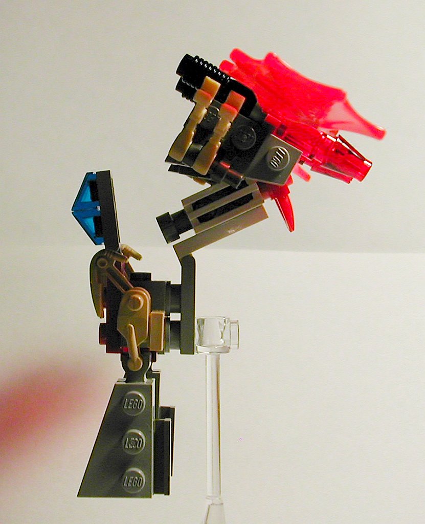 08-transform2.jpg