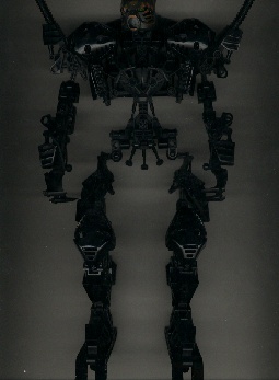 makuta1.jpg