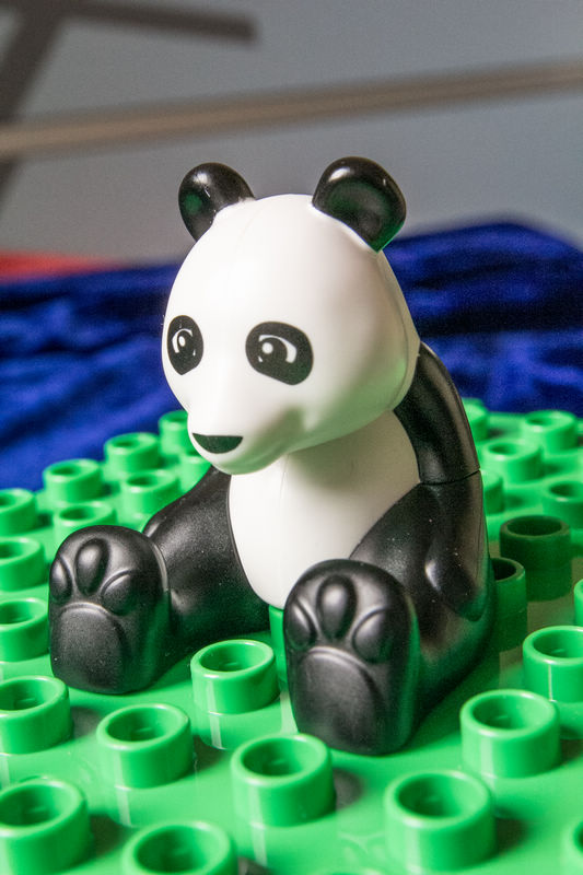 panda.jpg