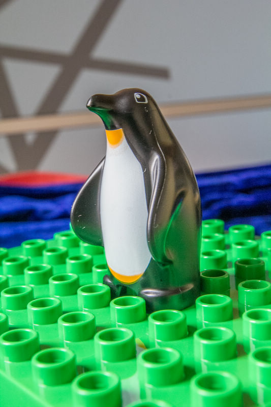 penguin.jpg