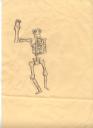 skeleton.jpg