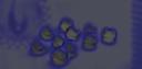 deathspheres.jpg