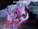kongu888edit.jpg