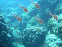 underthesea3.jpg